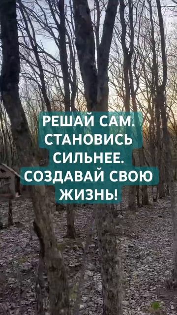 РЕШАЙ САМ