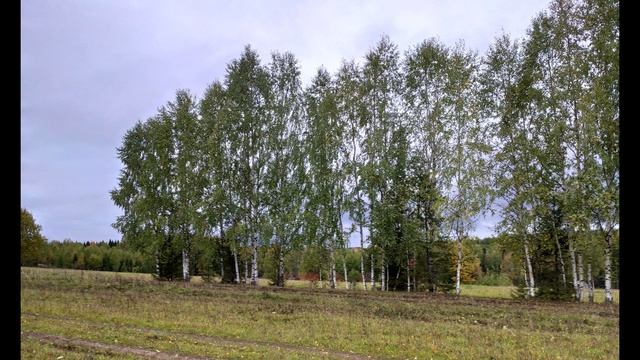 П. Коэльо. Об осторожности с мыслями. Притча 102. Книга Воина Света