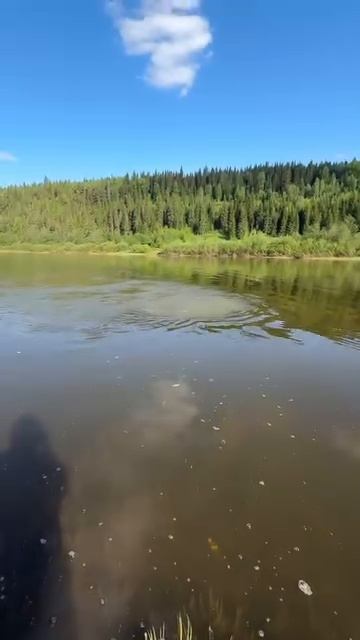 Уральская одиссея - 48 день