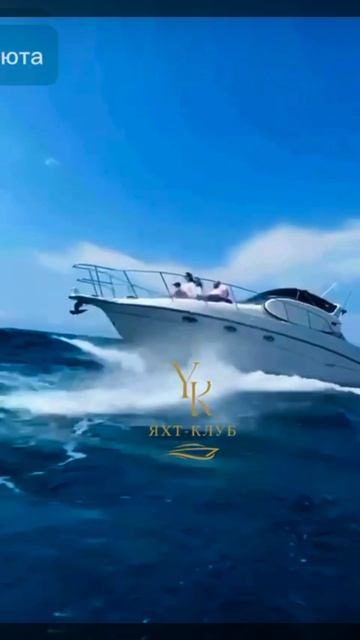 Катер «Принц» - аренда яхт и катеров