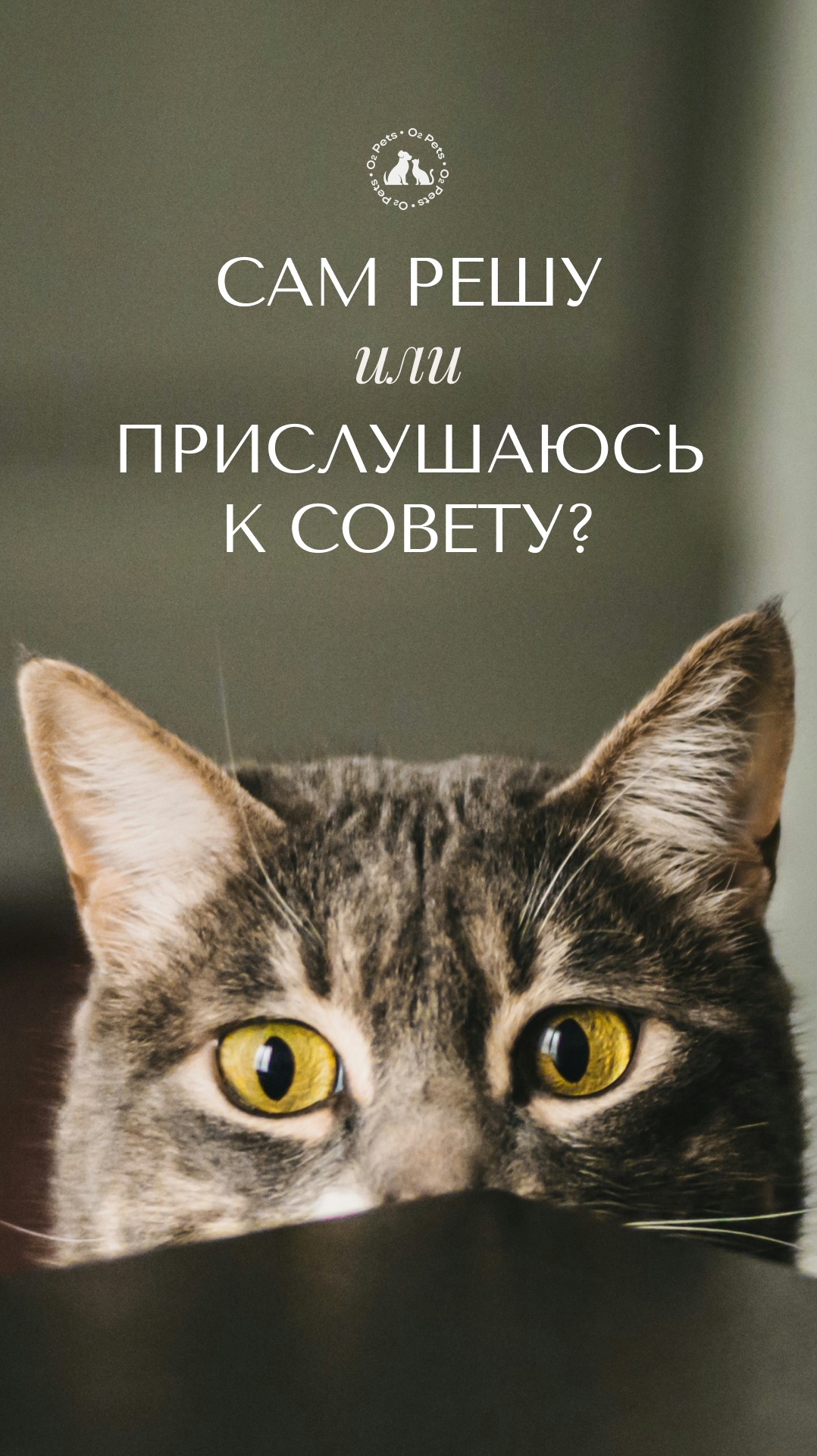 Сам решу или прислушаюсь к совету?