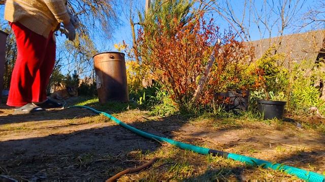 НАСЛАЖДАЮСЬ ЖИЗНЬЮ.Живу в деревне.