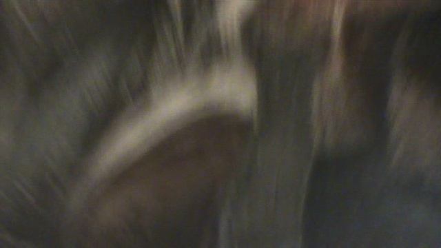 71)D ВОРОНЦОВЫЙ ДВОРЕЦ ВНУТРИ