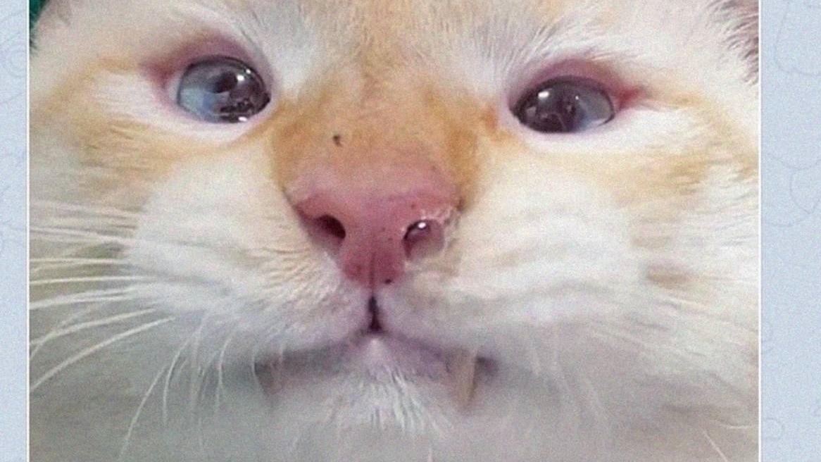 просто тупо стрим