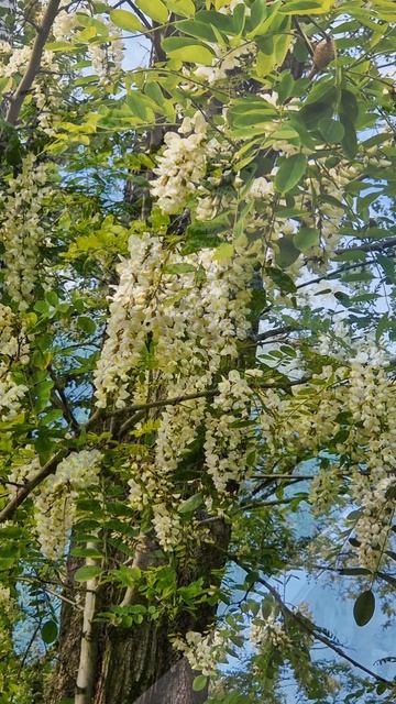 Жизнь слишком коротка....mp4