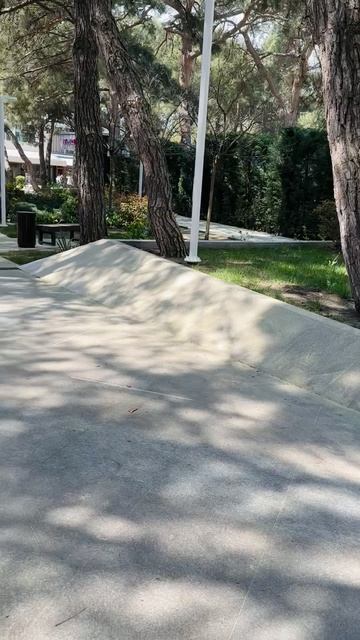 Цветение сосны в Геленджике😷