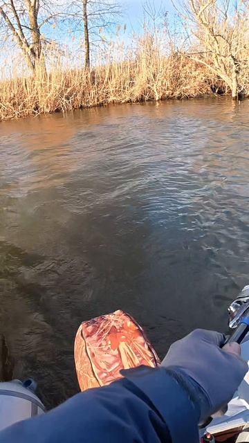 Ловля жереха в Астрахани!