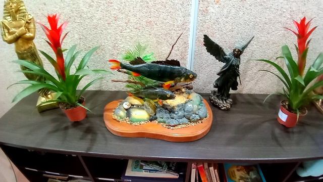 МЕДИЦИНСКИЙ ЦЕНТР : ДОМ ЗДОРОВЬЯ