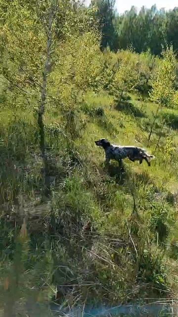 В поисках бродов