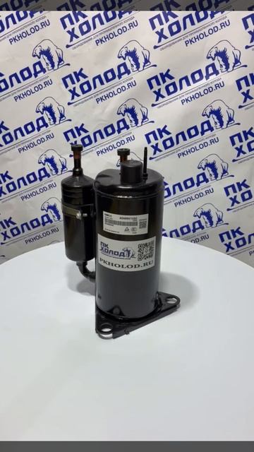 Компрессор ротационный GMCC ASN89V1UDZ