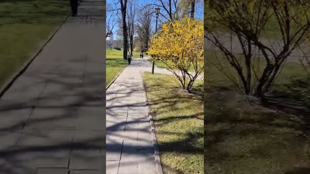 Привет от Анны из Латвии 22.04.26.