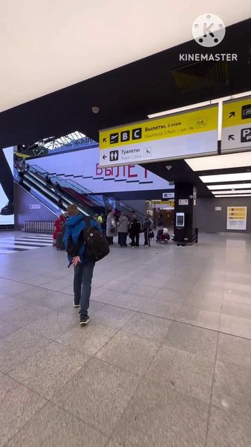 Шереметьево терминал Москва 11.04.26