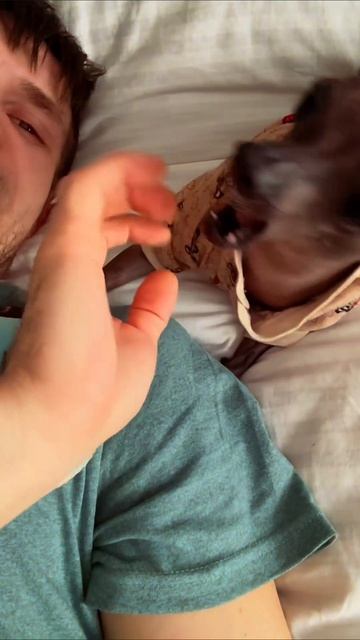 #собака #мия #я #москва #россия #мир #дружба #жвачка #любовь