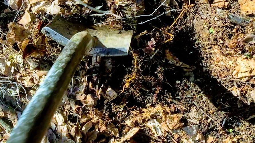 ДА ПОЧЕМУ БЫ И НЕТ