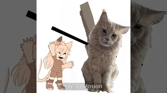 знакомьтесь это лёва мой кот :3