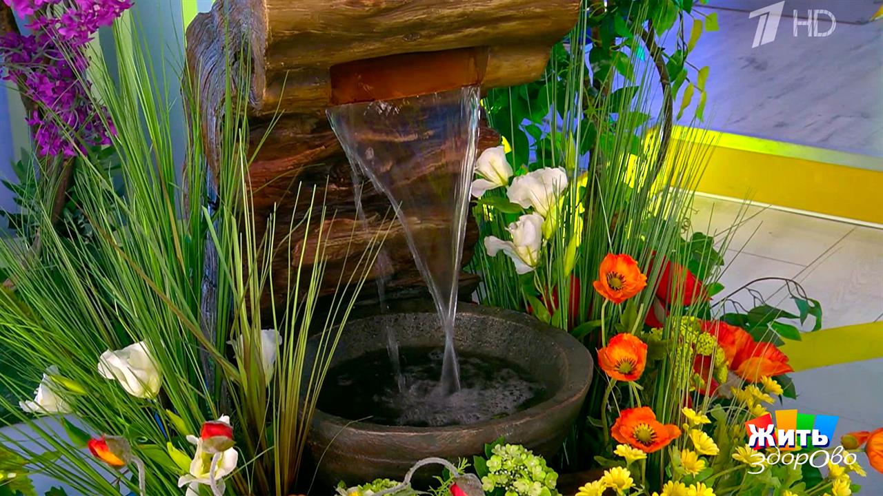 Секреты родников: что скрывают санитарные врачи? Жить здорово! Фрагмент выпуска от 22.04.2026