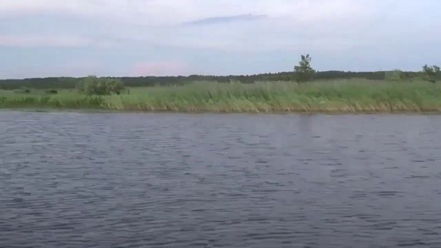 По рекам Водла и Шалица 2025