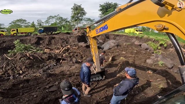 Строительство, экскаватор копает песок