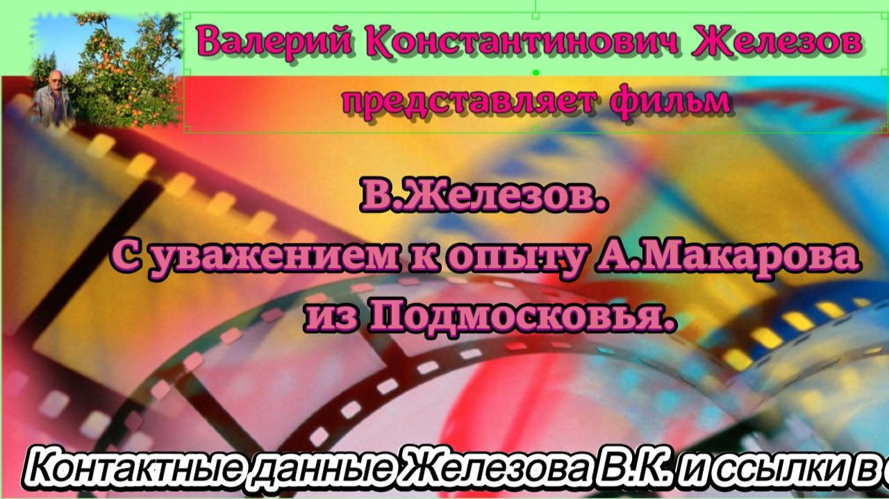 В.Железов. С уважением к опыту А.Макарова из Подмосковья.