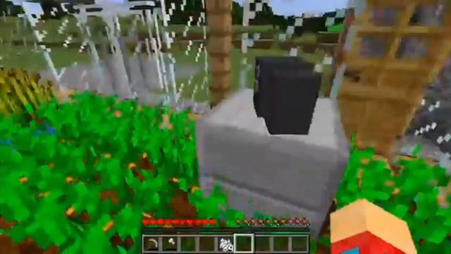 я переехал жить в дом фермера на огороде