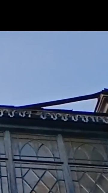 Кто разбил окна во дворце? Почему Пестово? А где Ясная поляна?