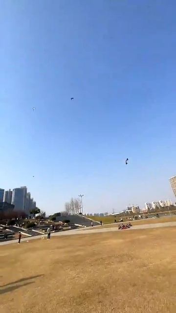 белка летяга.mp4