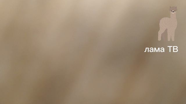 Конец вещания канала 