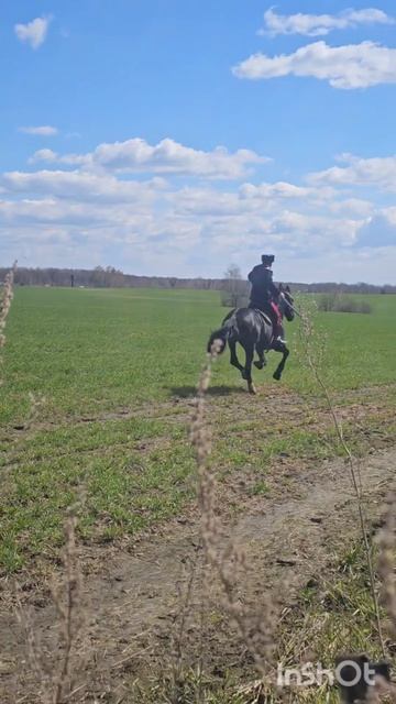 Готовим орловца к хуторскому празднику