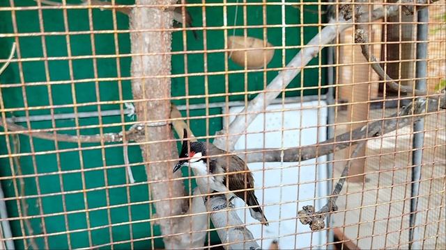 Ff10abd758e80c153f6b0ec3f073bf83