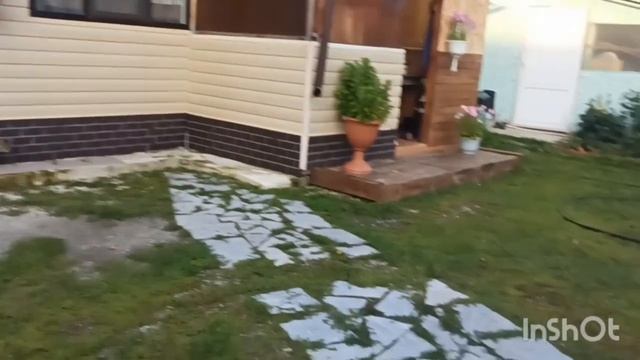 Архив. Живём в деревне🥰