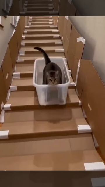 VID_20260422_134932_202.mp4