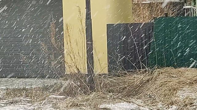 22 апреля, а у нас опять зима вернулась