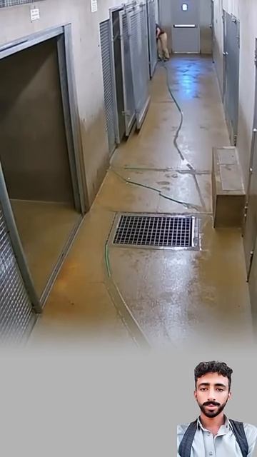 Чуть не съели.