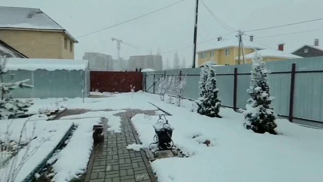 Сюрприз природы.Зима вернулась