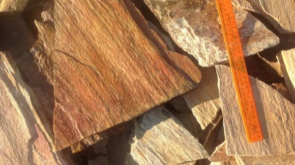 Сланец кора дерева