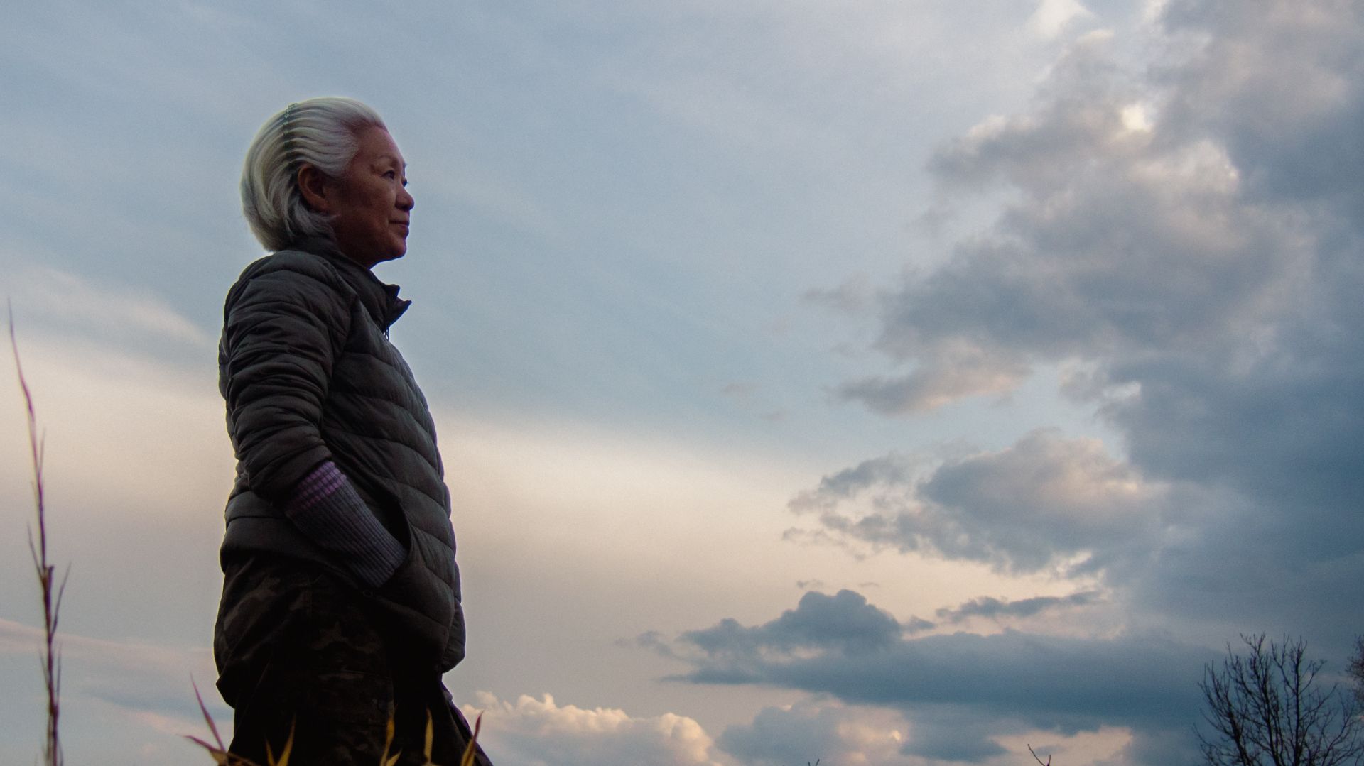 Апрельские визиты на участок/готовим высокие грядки к новому сезону- Видеодневник #5/19.04.2026