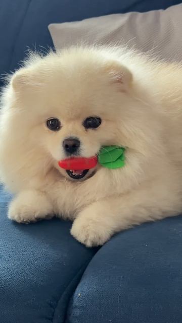 ПОДПИСЧИЦА СТАЛА НЯНЕЙ😳