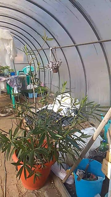 VID_20260422_153948.mp4