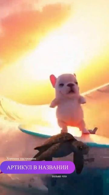 ЛЕГО ПИБЛ Артикул на ВБ: 972898040 #pibble #chilldog #пибл #чилловаясобака #пиббл #собаканасерфе