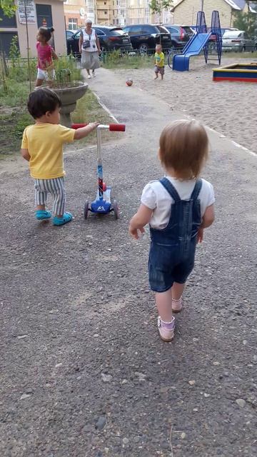 Ранелия 2016г.mp4