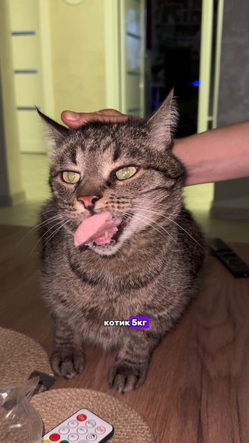 Добрый?😂❤️