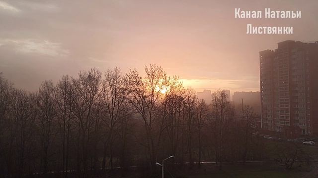 Город 14-20 апреля 2026. Хохлатки, черемша, черенкование барбариса и лаванды