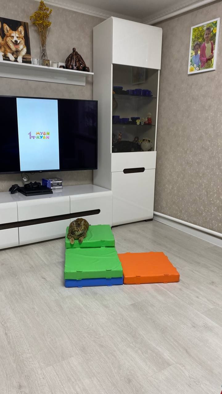 Строим Ступеньки из конструктора Маграник