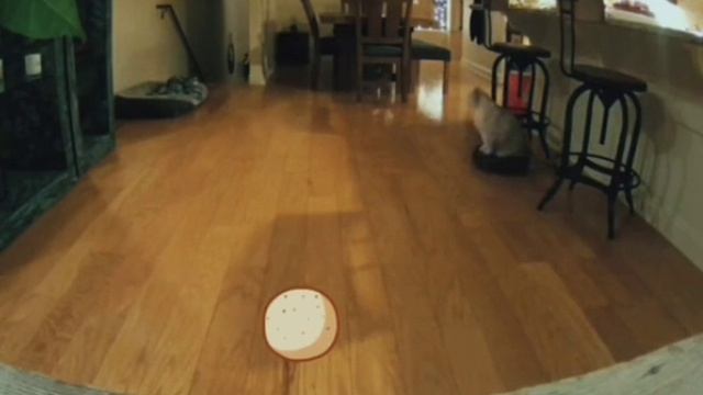 VID_20260421_222358_088.mp4