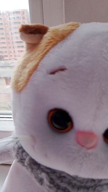 Малыш явно больше мамы.🤣