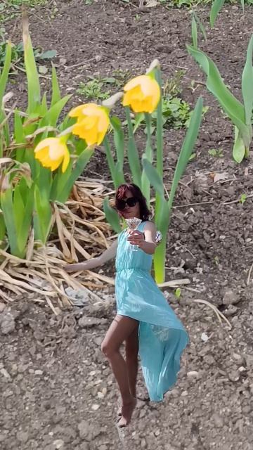 доброе утро и нарциссы