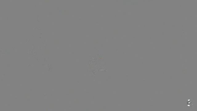 cross championship '26- 3 workout