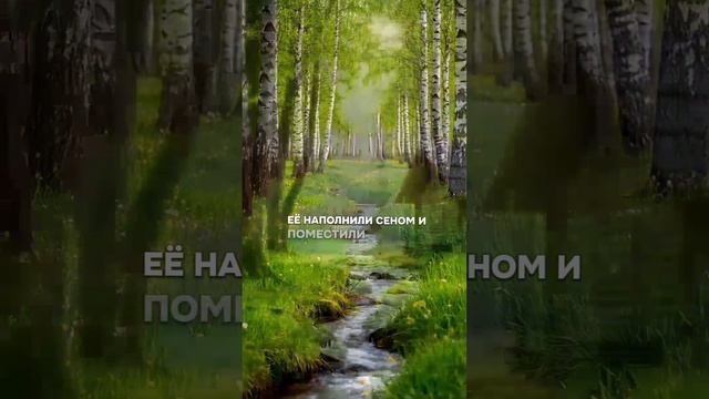 притча  О МЕЧТАХ (полный)