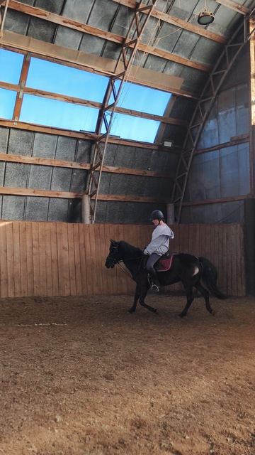 Даша и Наоми, учебная рысь по стенке в манеже.