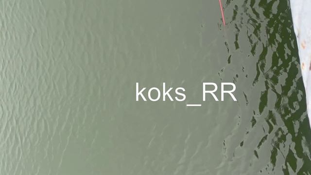 Поисковые Грабли Липецк Сокольский Пляж koks_rr